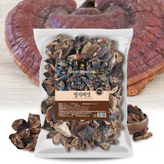 100% 국산 절단 영지버섯 영지버섯차, 1개, 500g