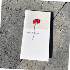 드라이플라워 감성 선물 메세지 카드 (장미), 본상품