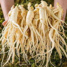 햇수삼 5~6년근 세척 난발삼 200g ( 5뿌리내외) + 국내산 시골삼계탕재료 1개