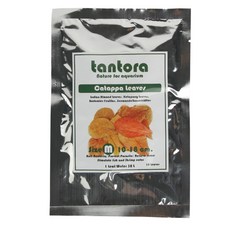 탄토라 수족관용 알몬드잎 M, 10개