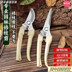 園藝剪修枝剪手工花藝剪刀，果樹枝條修剪花卉專用工具，輕巧鋒利, 1個, 奶白色彎頭剪,專業園藝樹苗果樹修枝剪