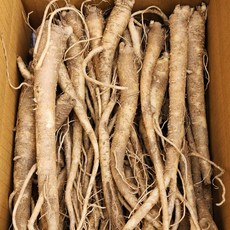 국산 도라지 흙도라지 약도라지 생도라지, 1박스, 1kg (실속)