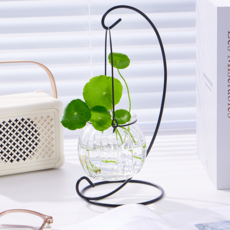 쏘리브 수경재배 식물 유리 화병 + 거치대, 3세트