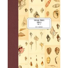 (영문도서) Vintage Prints: Shells: Vol. 2 Paperback, Createspace Independent Pub..., English, 9781727183016