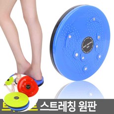 리2치점빵 가정용 스트레칭 원판