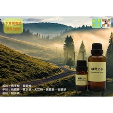 大港化工原料行 曠野之心 香精 - 香水 蠟燭 手工皂 DIY 擴香 香氛 法國, 1個, 10ml