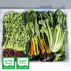 충주 산지직송 유기농 모둠 샐러드 채소, 1개, 600g