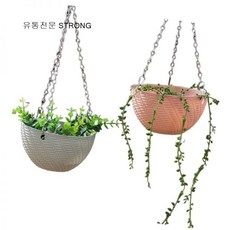 행잉 화분 295554
