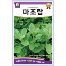 [주주씨앗] 마조람 씨앗 0.5g (2000립) / 상큼하고 달달한 레몬향 허브 종자 / 봄 파종 허브씨앗 씨앗몰, 1개