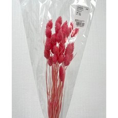 日本大地農園 42020系列 加那利乾燥花 原裝包 花藝設計 乾燥花材, FD42020-016