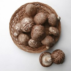 [국내산] 고기맛 나는 표고버섯, 1개, 하품(슬라이스용), 200g