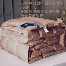 구스이불 이불 겨울 두꺼운 한파용 폴란드 호텔침구 힐튼, 커피