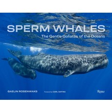 (영문도서) Sperm Whales: The Gentle Goliaths of the Ocean Hardcover, Rizzoli International Publi..., English, 9780847872329