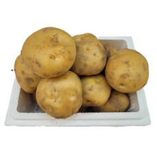 싱싱한 감자 1kg 3kg 5kg 10kg, 감자1kg, 1개