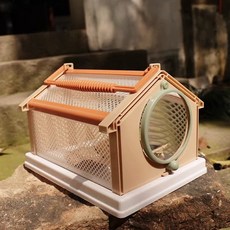 곤충 집 번데기 누에 부화 사육 세트 집게 잠자리 도구, B타입, 1개