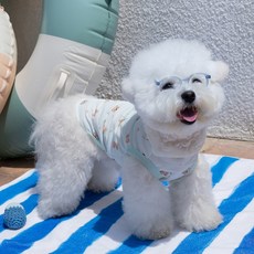 베일리펫 강아지 여름 해충방지옷 쿨링 버그가드, 1개, 스카이