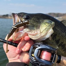 7even MAKERS 로치 4.5 배스 루어 미끼 소프트 웜, 06 Black Ground