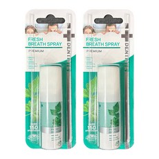 덴디스테 후레쉬 브레스 구강 스프레이, 15ml, 2개