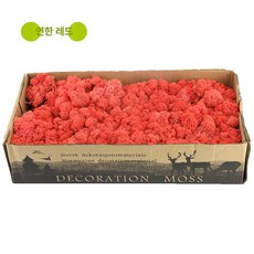 분재 거실 액세서리 인조식물 조화조경 식물가랜드, 라이드 디어스프루스