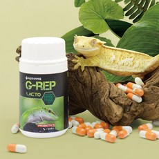 녹십자 G-REP 락토 LACTO 60g