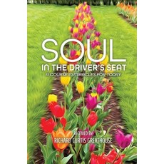 (영문도서)Soul in the Driver's Seat Paperback, Cocreating Clarity, English, 9798999872906