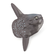 제트피규어 개복치 피규어 장난감 바다 해양 동물 생물 모형, 1개