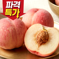 [산지직송] 15brix 초고당도 과즙폭발 백도복숭아, 1박스, 500g