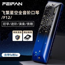FEIFAN飛繁口琴12孔布魯斯初學者星空低音入門專業演奏樂器自學, 1個, A調
