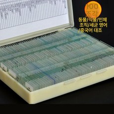 프레파라트 48종 표본 실험도구 식물 현미경 체험, 100장 유리 표본 - 인체 조직, 기본 색상