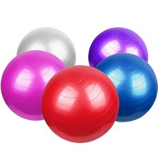 홈트기구 런웨이브 보급짐볼/펌프포함/벌크 K40012A, 보급형짐볼세트(레드)