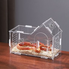 랜보어 파충류 하우스 아크릴 사육장 20 x 10 x 15 cm, 투명, 1개