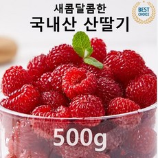 [반짝 20% 할인!] 프리미엄 세콤 달콤한 국내산 냉동 산딸기, 1박스, 급냉 산딸기 500g 1봉