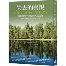 圓神出版 失去的喜悅：朦朧黑暗中所見的人生美好 法蘭克．布魯尼著