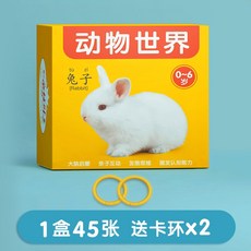 중국어 원서 어린이 동물 카드 인지 조기 교육 단어 학습 영유아 교재, 1박스 90디자인