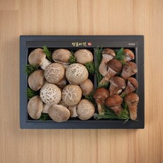 [버섯여왕] 선택3. 송화고+참송이 혼합 선물세트 [산지직송/프리미엄], 1세트