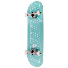UNKNOWN 스텐다드 스케이트보드, 민트, 1개