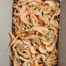 [바다찬미] 2026년 국내산 햇 국물새우 육수용 국물용 건새우, 1박스, 1.5kg