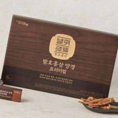 돈스텔 식사대용 발효홍삼양갱 40gX15개