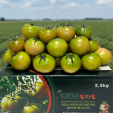 [대저농협인증]짭짤이 대저토마토 최상급, 1박스, 짭짤이정품 (2S~S) 2.5KG