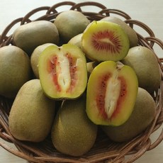 제주 레드키위, 1박스, 중과 2.5kg