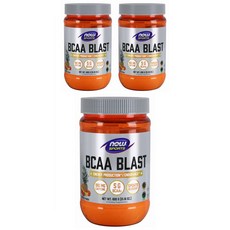 나우푸드 BCAA 블래스트 트로피컬 펀치, 3개, 600g