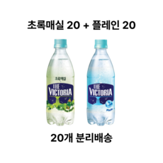 웅진빅토리아 더 빅토리아 초록매실 20p + 플레인 60p, 20개, 500ml