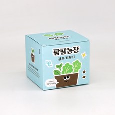 팜팜농장_상추 베란다텃밭 홈가드닝, 단품