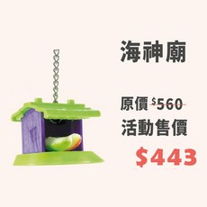 阿迷購 海神廟 益智鳥玩具 鸚鵡覓食訓練器, 1個