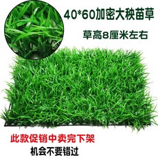 台灣公司 嘉義出貨 仿真草坪 塑料草坪 假草坪 櫥窗裝飾 假草 墻面裝飾 綠植墻 背景墻 植物墻 店鋪裝飾墻 商場裝飾, 40*60加密大秧草