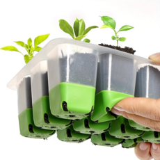 MS4U 실리콘 12구 모종트레이, 1개, 그린