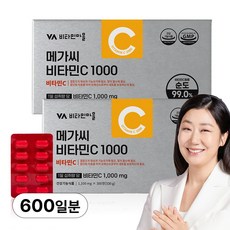 비타민마을 고함량 메가씨 비타민C 1000mg, 2박스, 300정