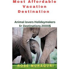 (영문도서) Most Affordable Vacation Destination Paperback, Rose Muraguri, English, 9798230996361