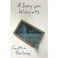 (영문도서) A Song for Wildcats: Stories Paperback, Dundurn Press, English, 9781459755161