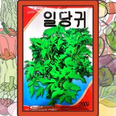 당귀 씨앗 대포장 일당귀 200g 쌈채소 향채소 대용량 종자 왜당귀 일당귀 경신종묘, 1개